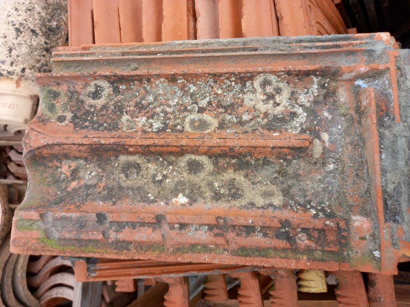 Tuile plate Pierre Sacoman SAINT HENRY Marseille