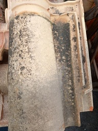 Tuile Languedoc DCL 1DL Terreal